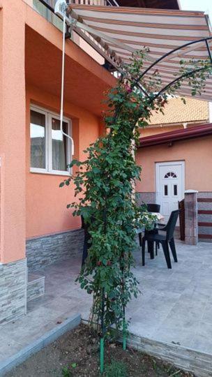 Kuca Pogled Apartment *